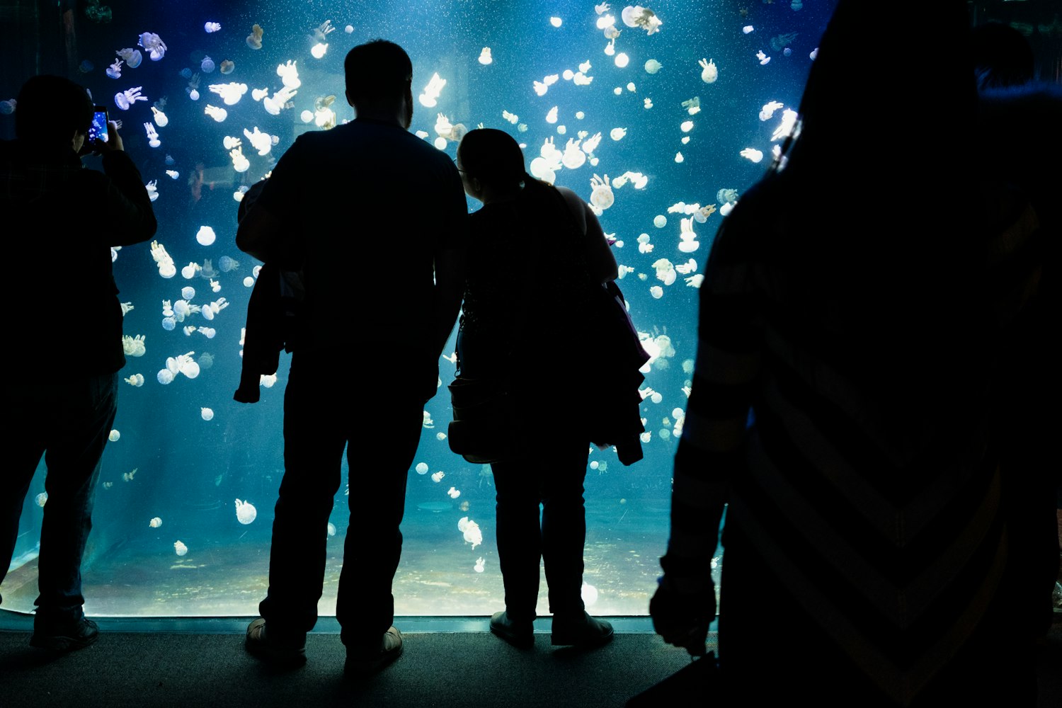 石榴红了,电视剧中的色彩与情感的交织之旅