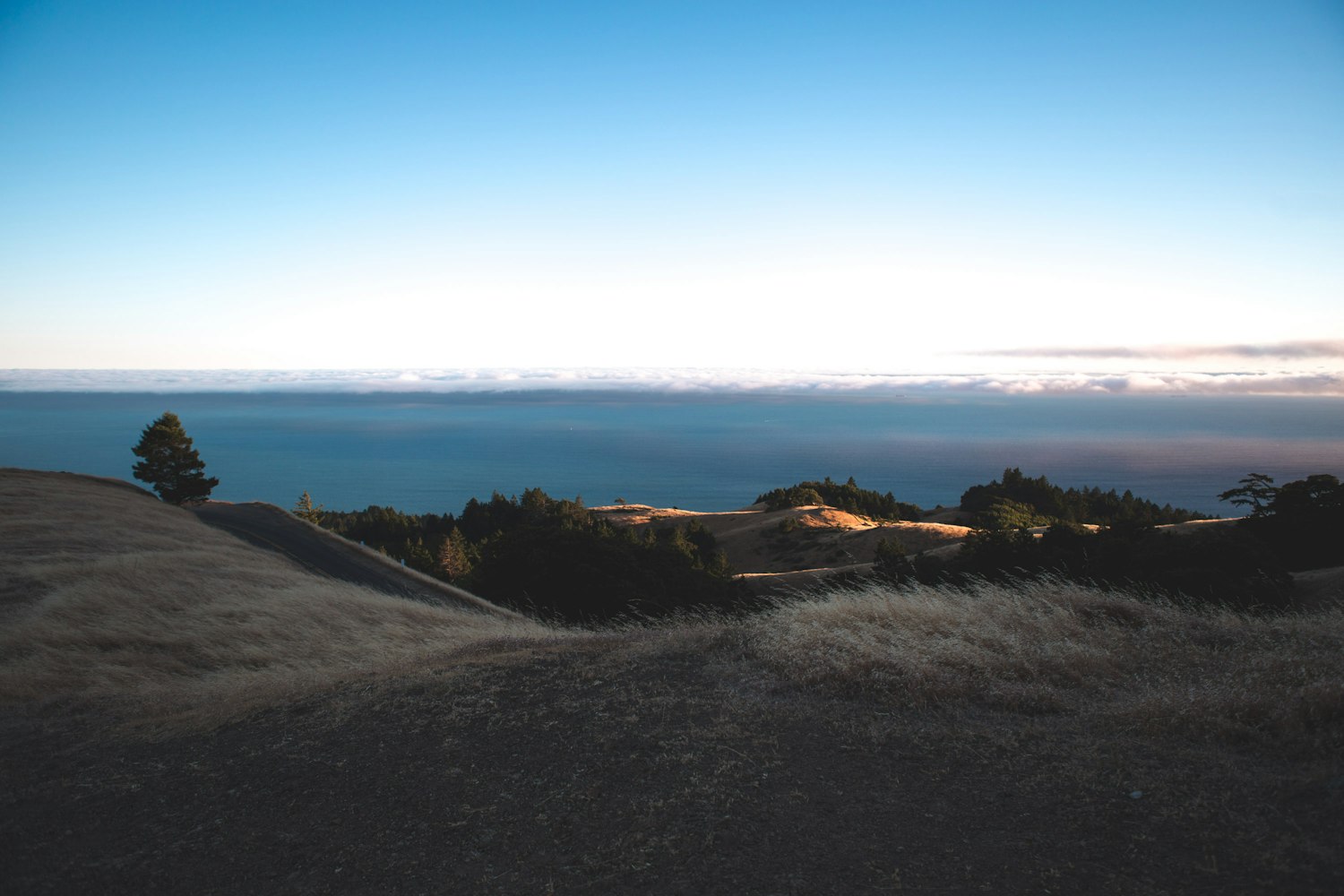 云南监狱马林动态,探索与革新的历程