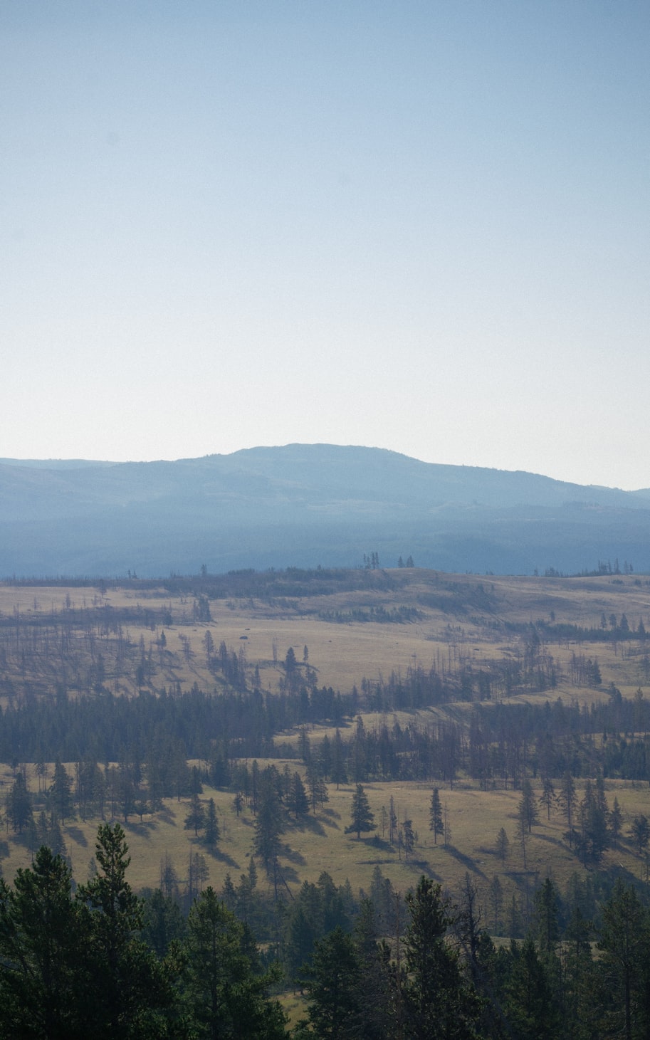 城市公园动态更新,绿色呼吸的新节奏