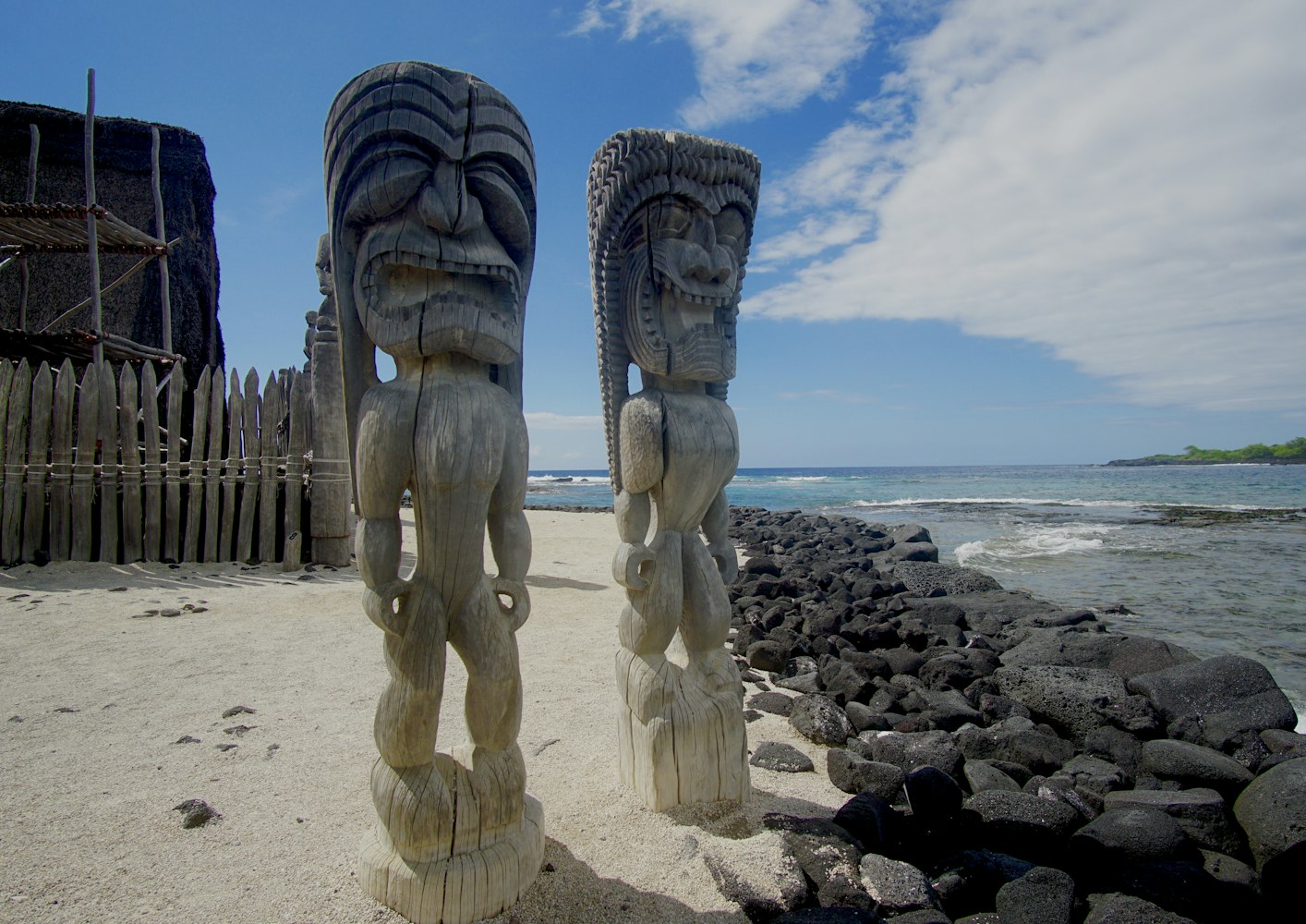 城市公园动态更新,绿色呼吸的新节奏