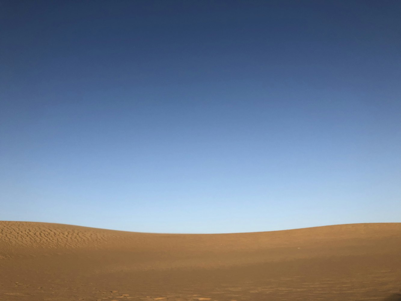 蒙牛股市行情深度解析,最新动态与市场走势分析