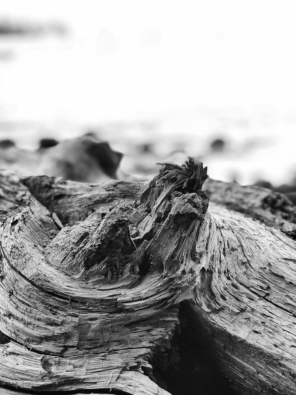 动漫人物速写,探索与创作之道