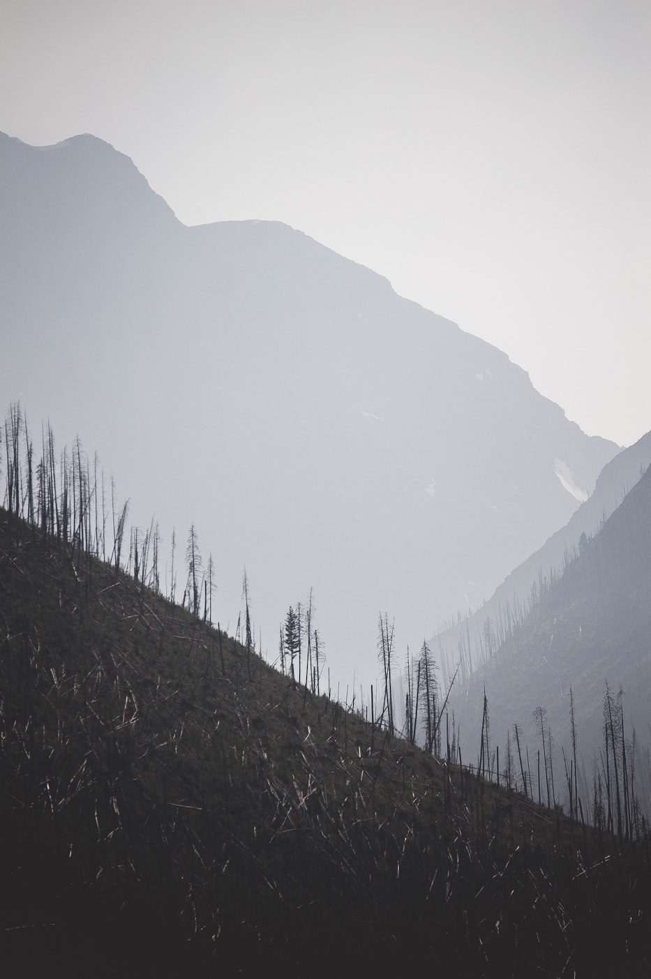 泗水新闻最新动态，城市发展与民生改善同步前行