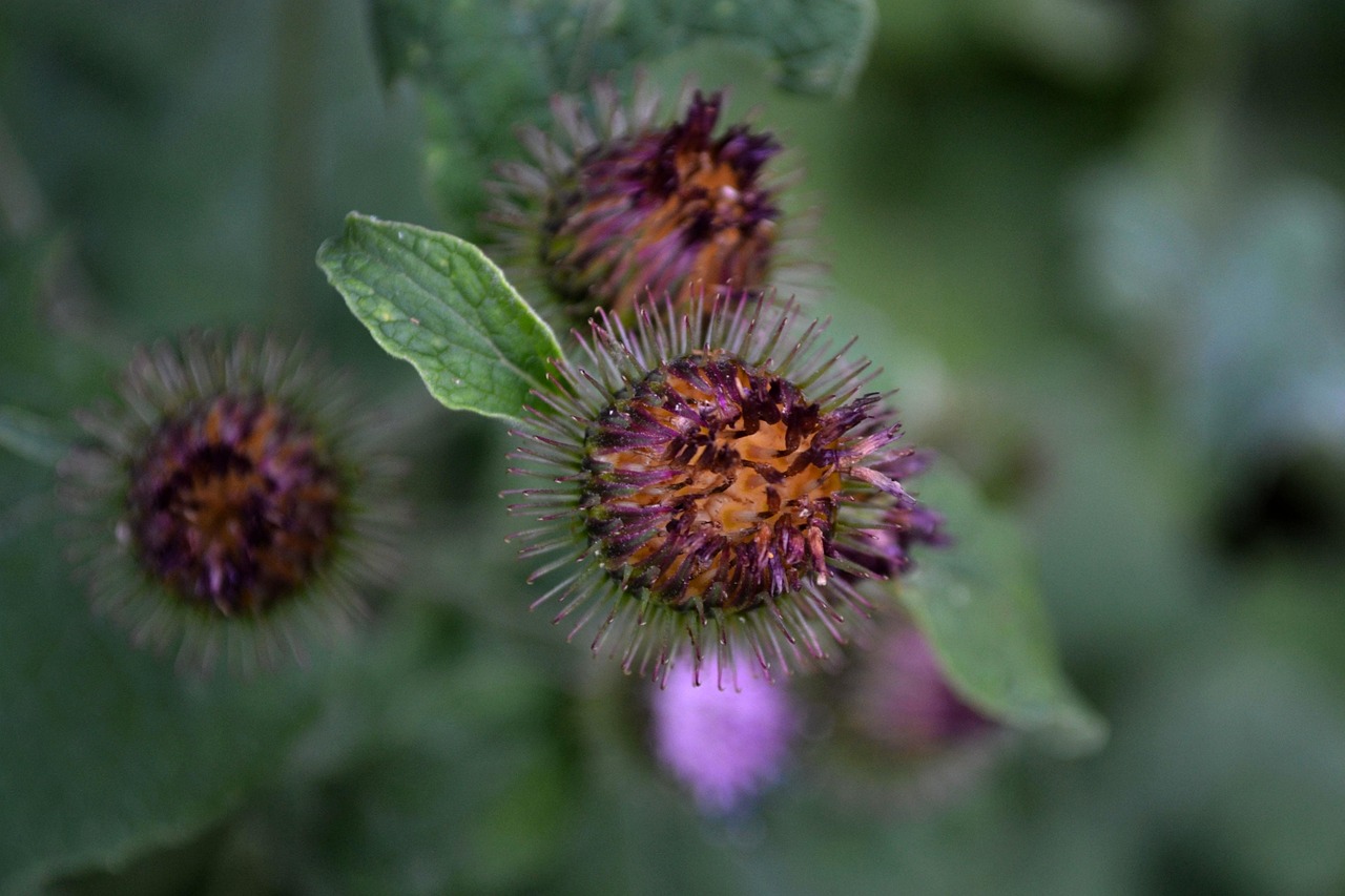 南川区资讯概览，最新动态与资讯全览