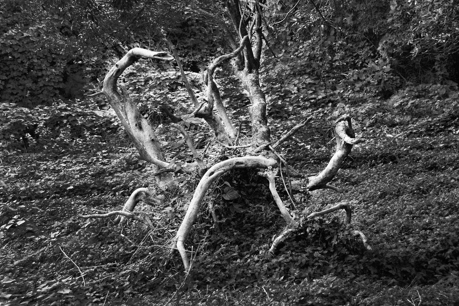 蝙蝠侠，超越动漫的传奇英雄之旅