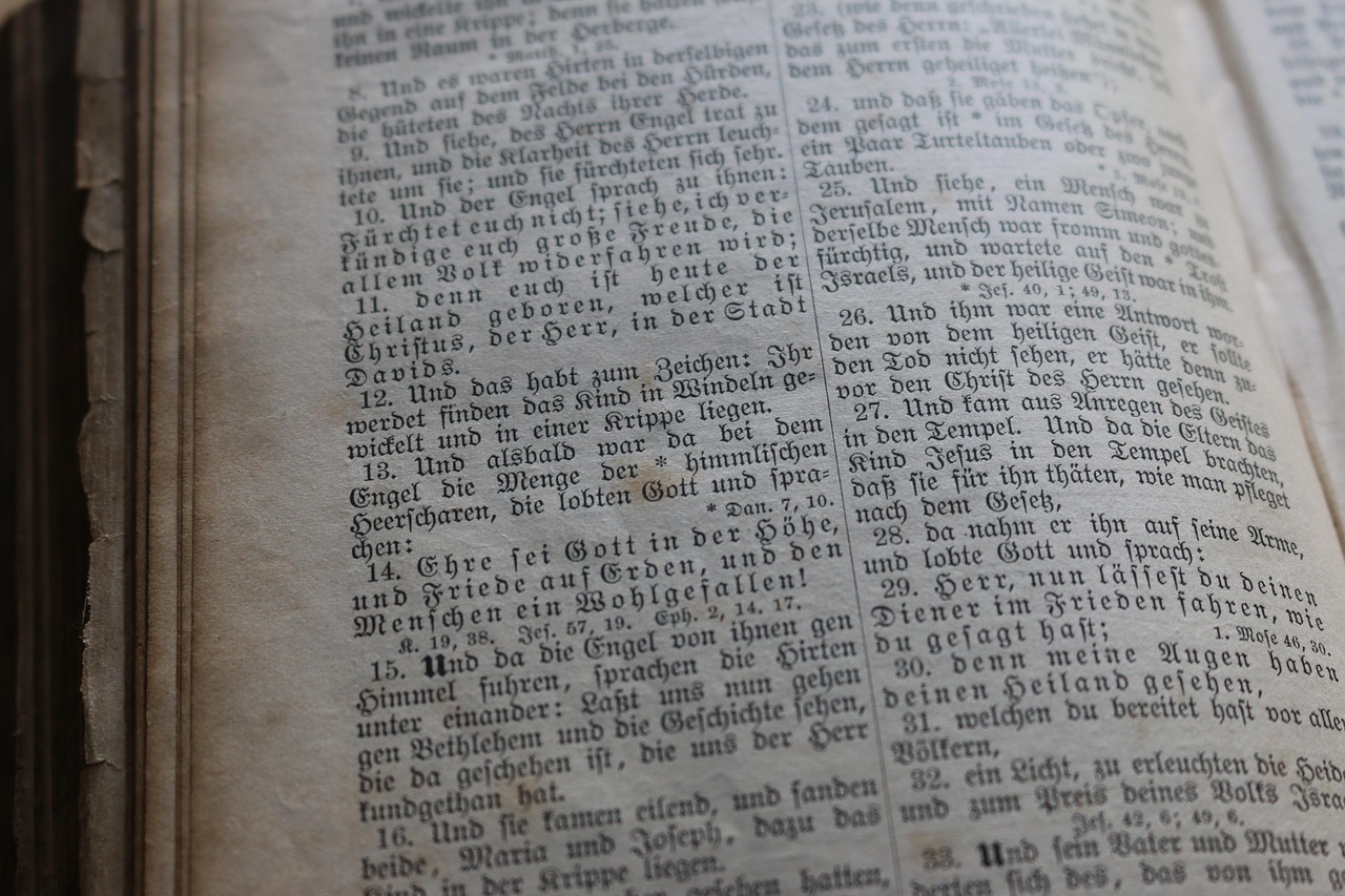 北京最新斗殴事件深度解析,原因探究与应对之策