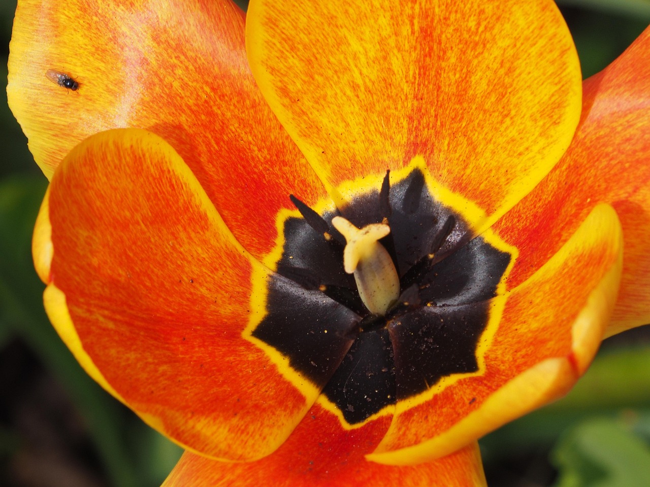 朱林寿最新动态,迈向新征程的步伐不停歇