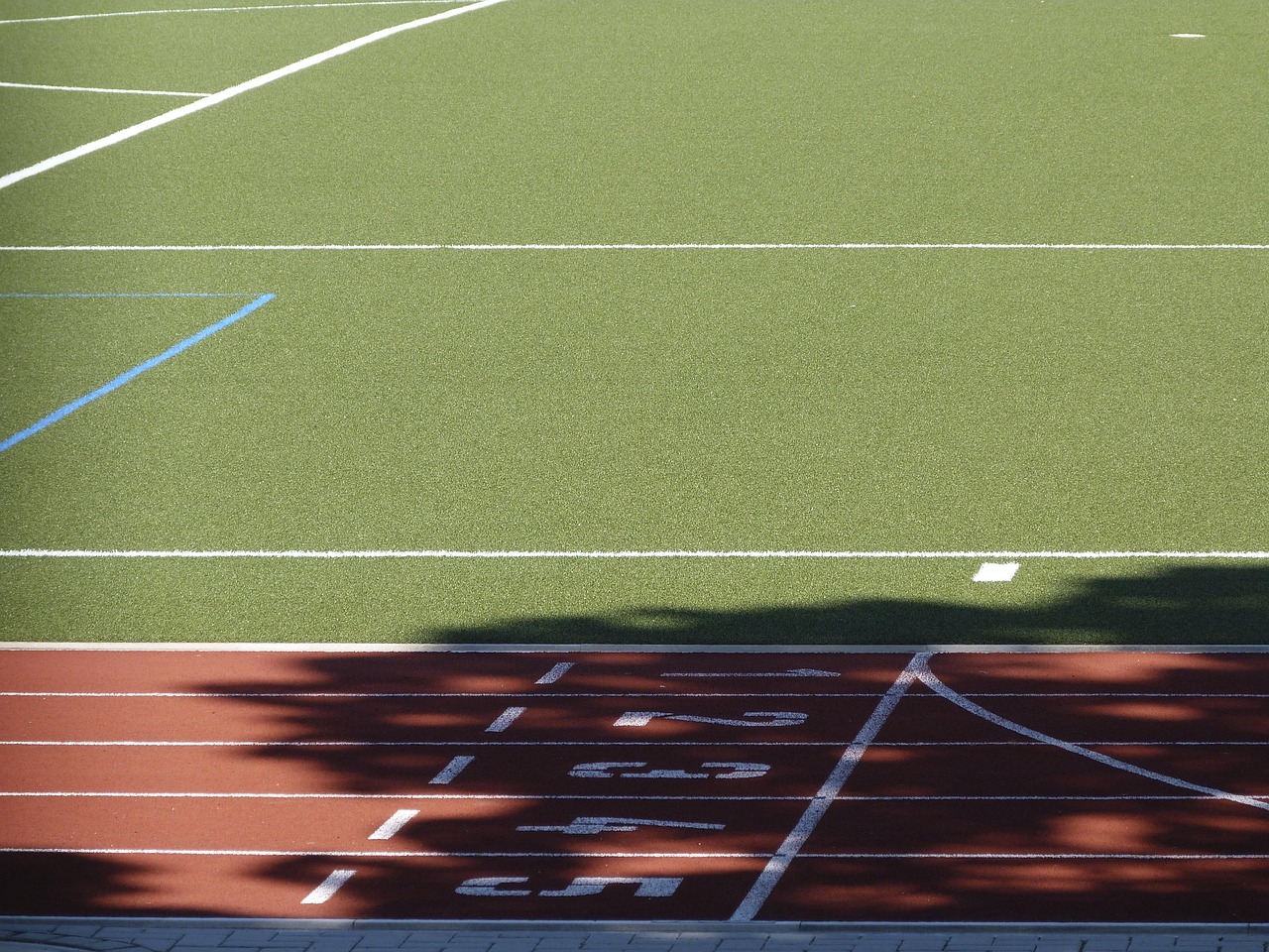 标枪投掷大赛，力量与技巧的完美融合