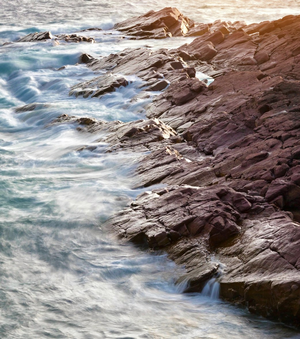 崔根良最新动态,探索前沿科技,推动产业创新发展