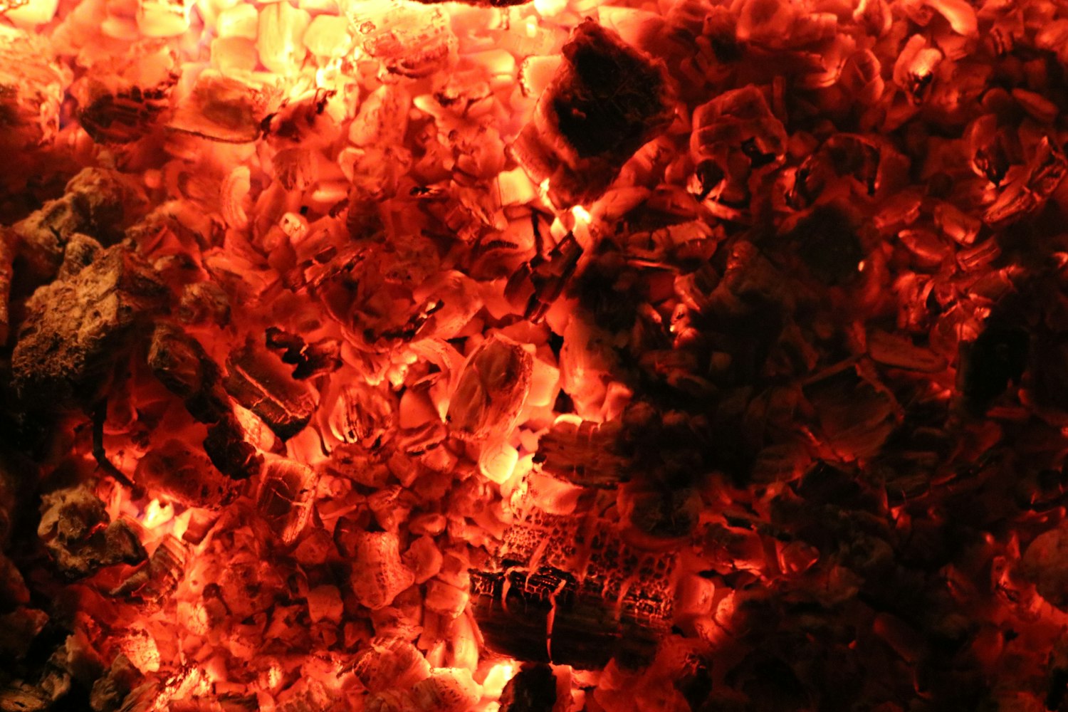 最新火爆句子席卷全球，引领潮流，激发无限创意与激情