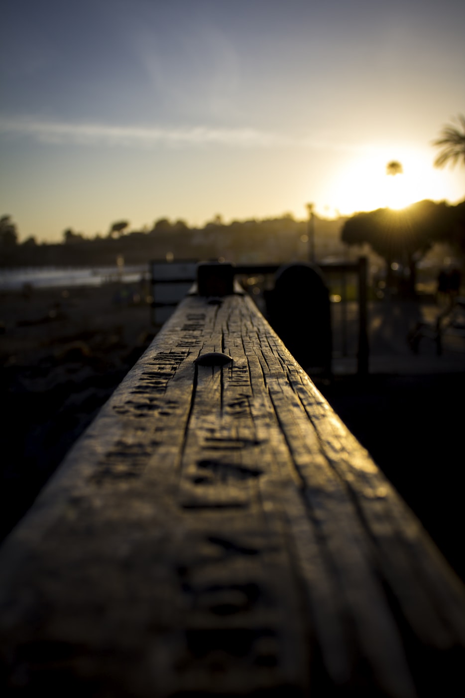 大橙女次元最新动态，探索次元新纪元的前沿资讯