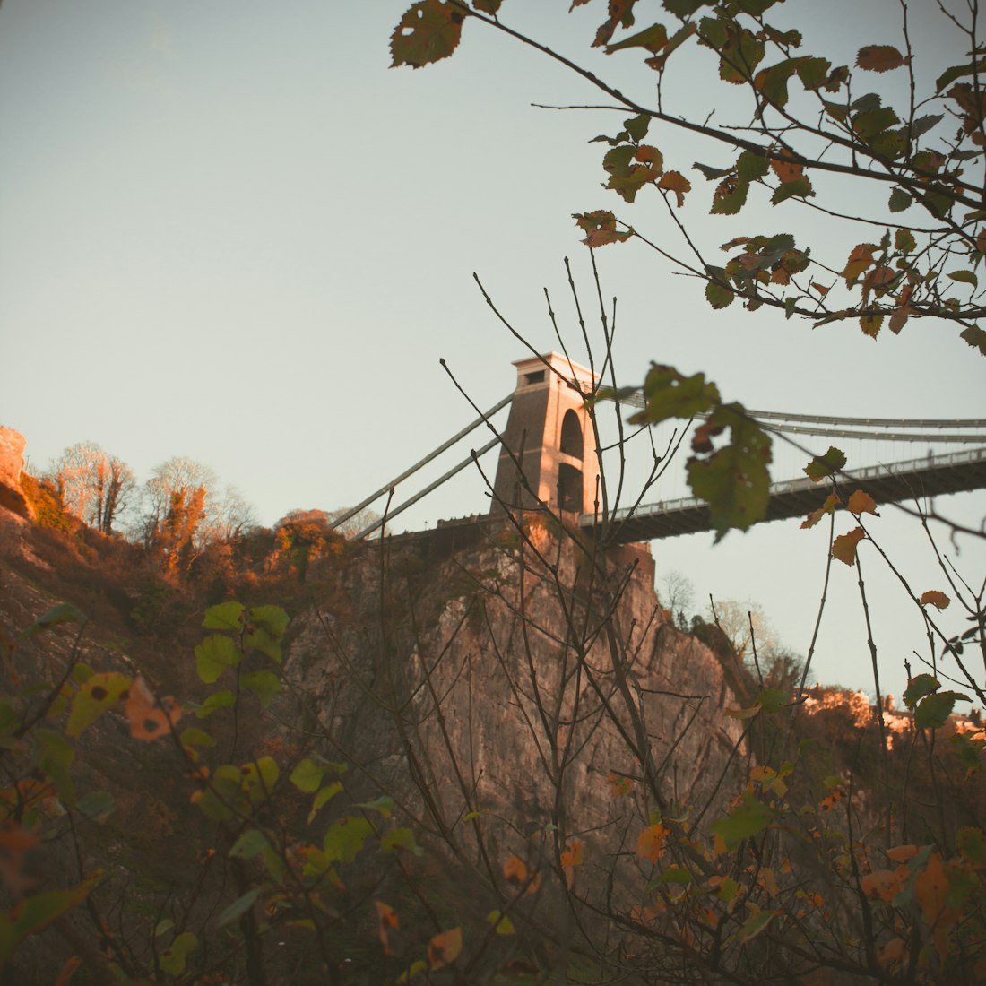 股票行情深度解析，聚焦600425股票动态与前景展望