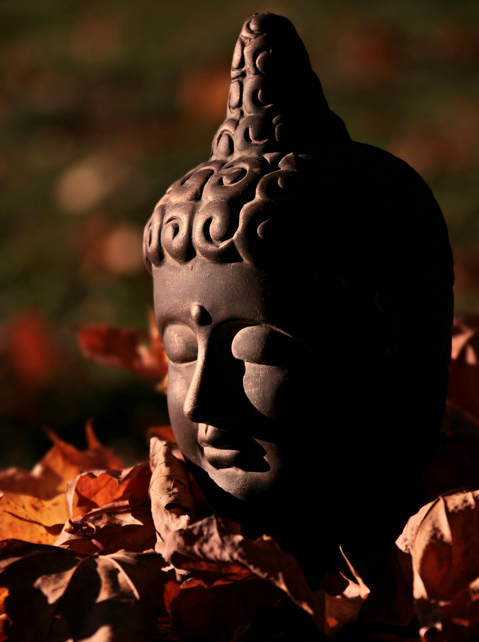 中国影视男演员,塑造经典角色,传承中华文化魅力