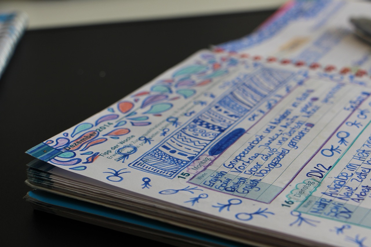 新华字典最新版，全面解读与应用展望