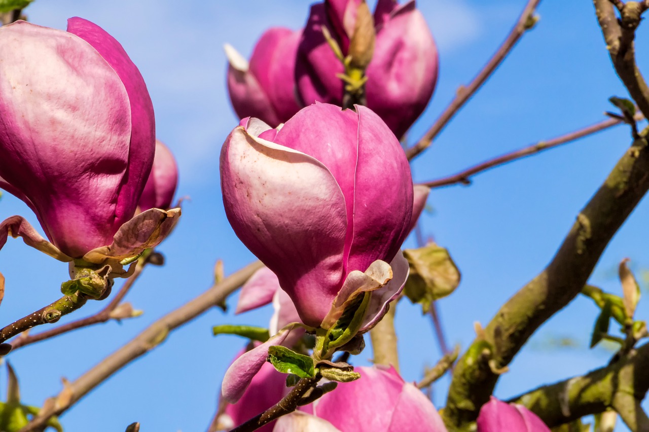 白银实时价格，市场动态、影响因素与投资策略深度解析