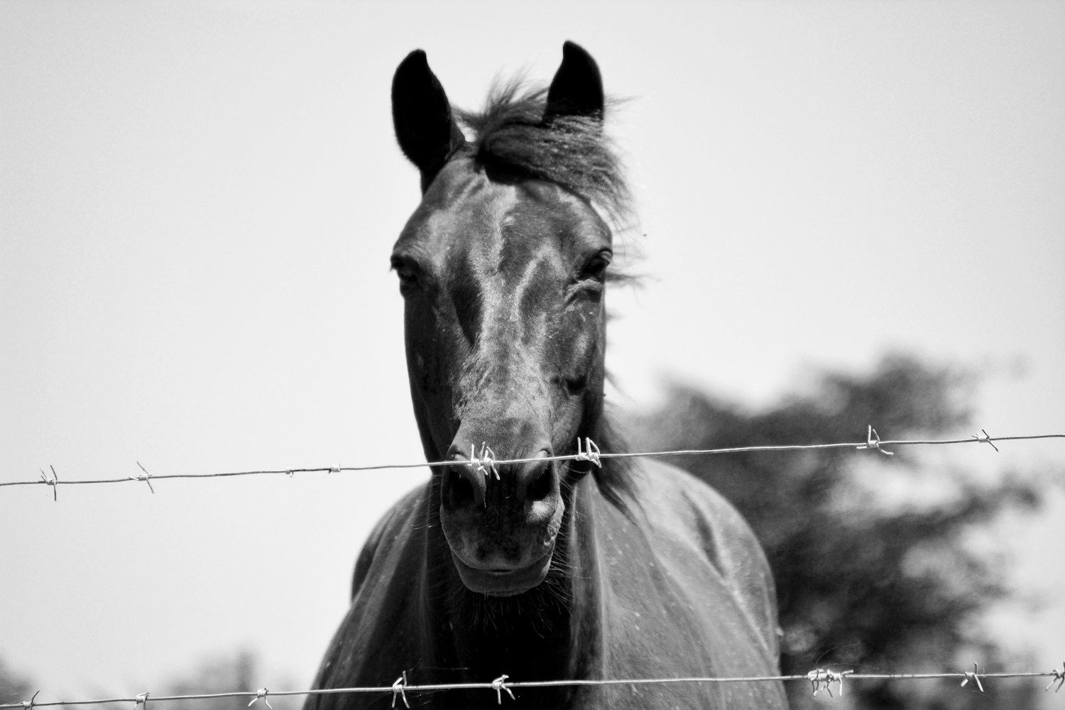 夏凉浮生 第3页
