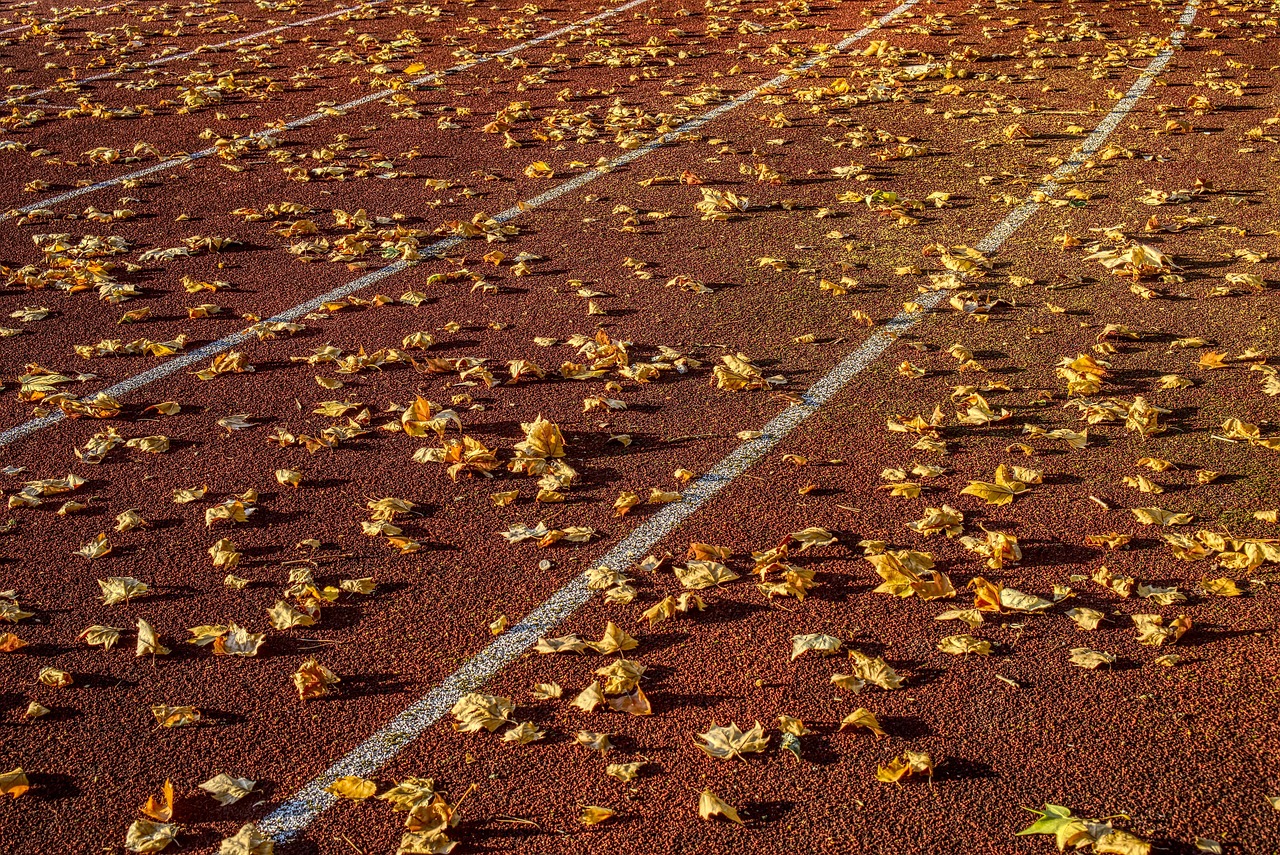 卡卡最新消息，球场动态与个人生涯新篇章揭秘