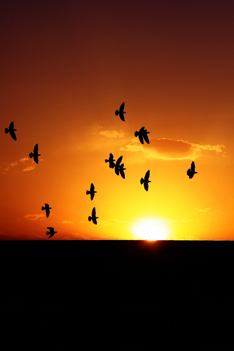 2025年12月 第46页