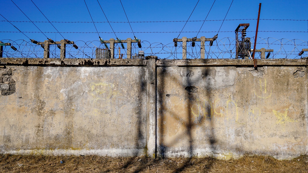 周万幸最新动态揭秘，引领前沿科技，创新行业先锋