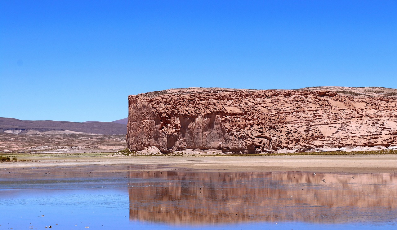 户县渼陂湖生态修复与旅游发展最新动态,融合之旅的进展与前景