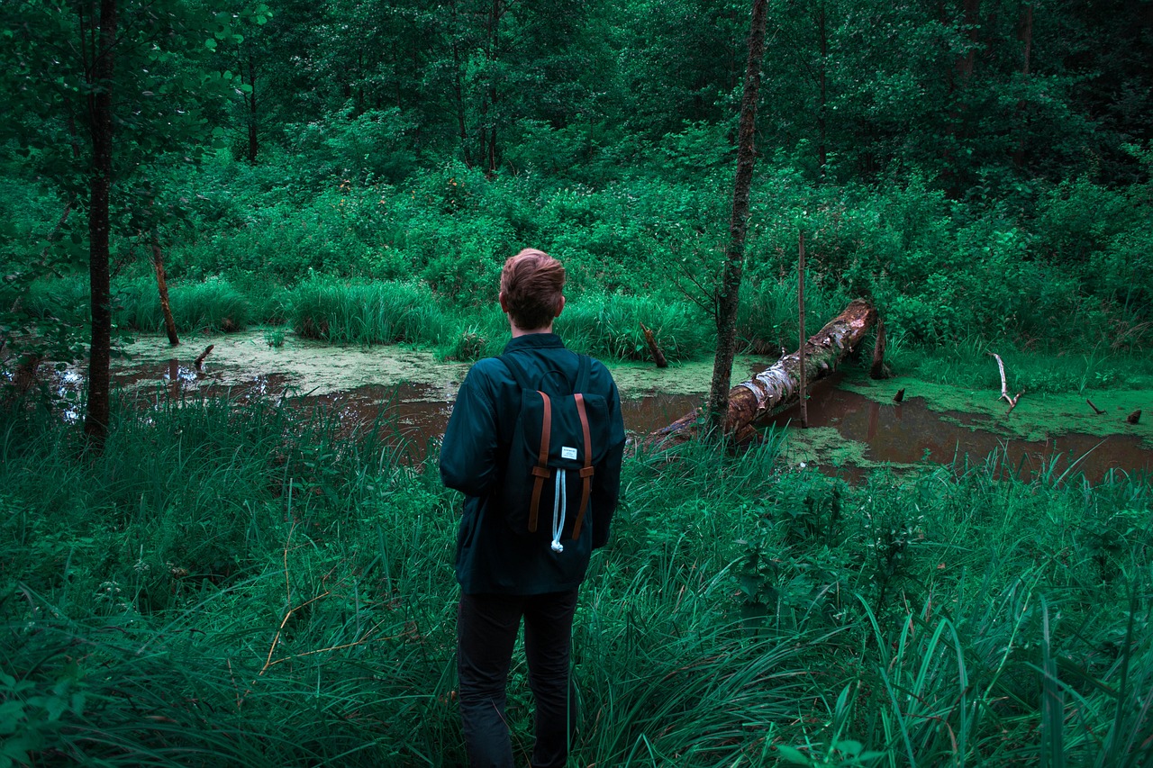 动漫音乐探索与下载体验之旅