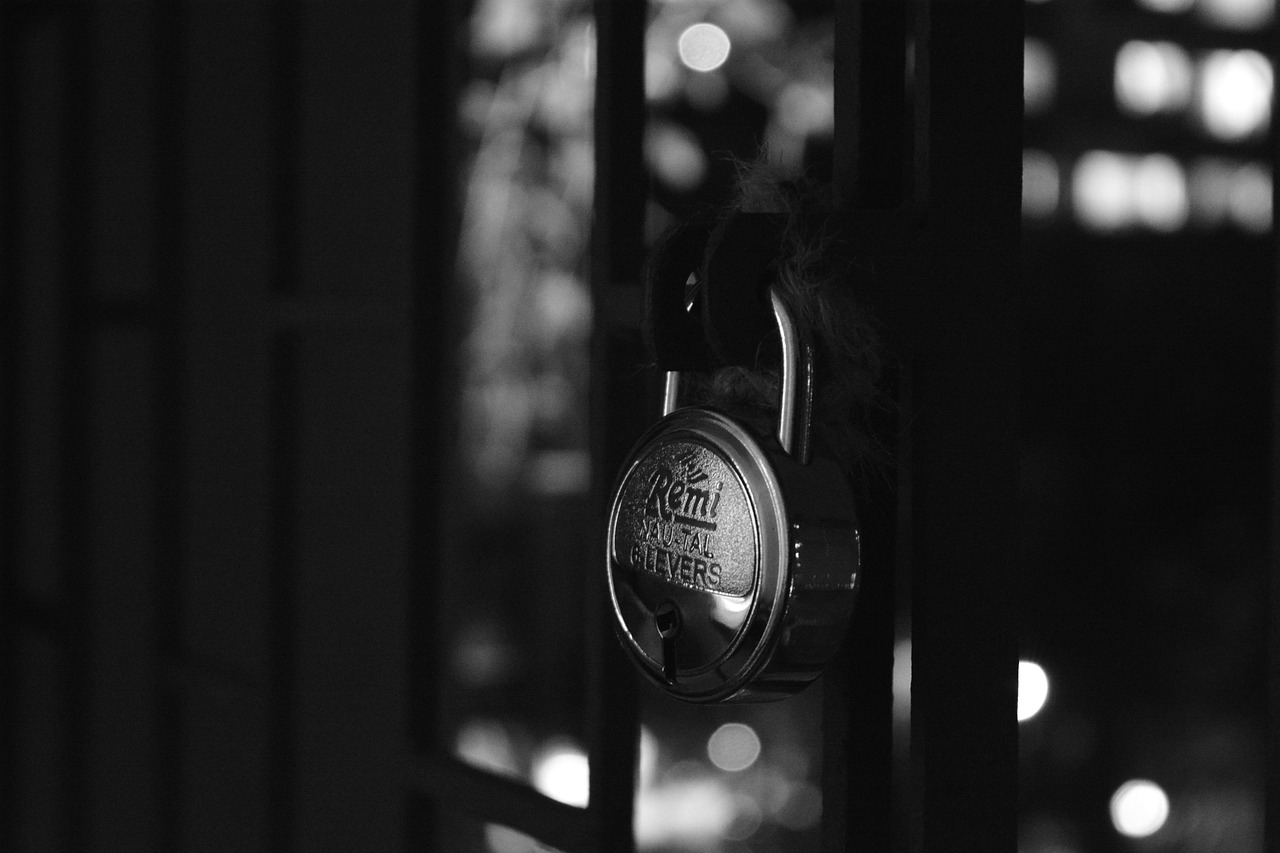 共建和谐社会，守护你我平安——平安快讯最新动态