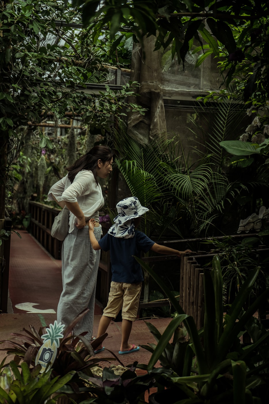 本庄玲电影，探索日本电影界的璀璨明珠之旅