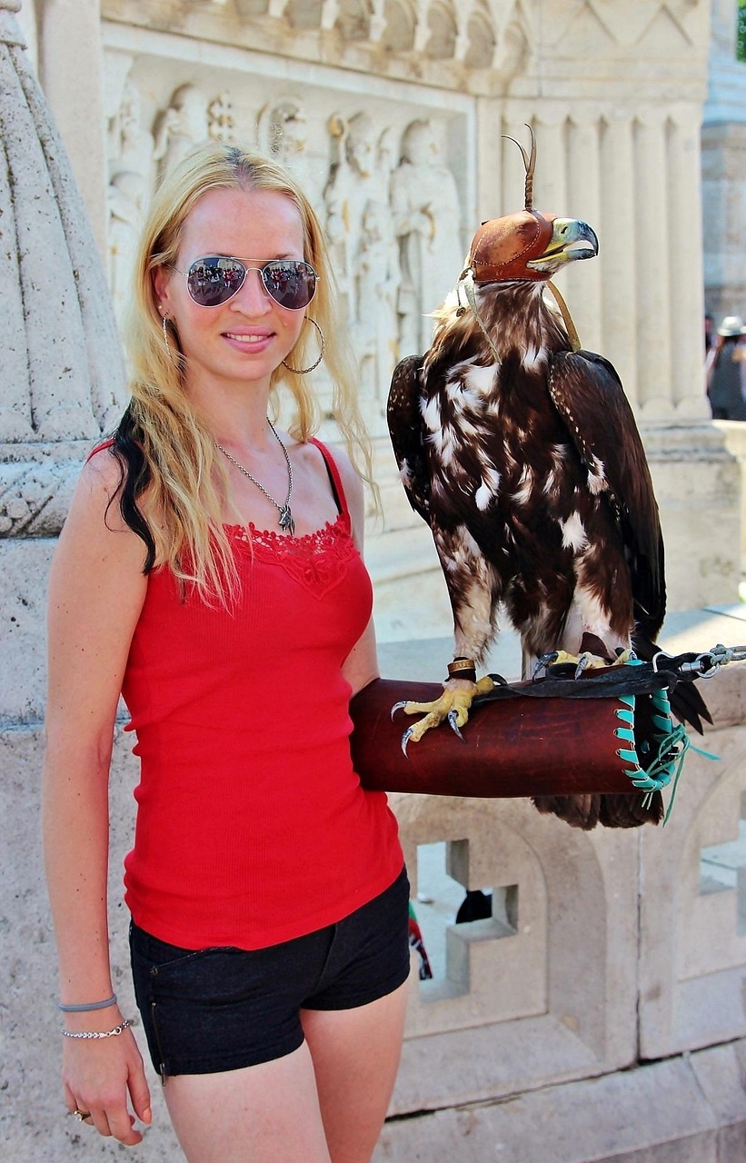 泰国最新疫情动态，挑战、应对策略全解析