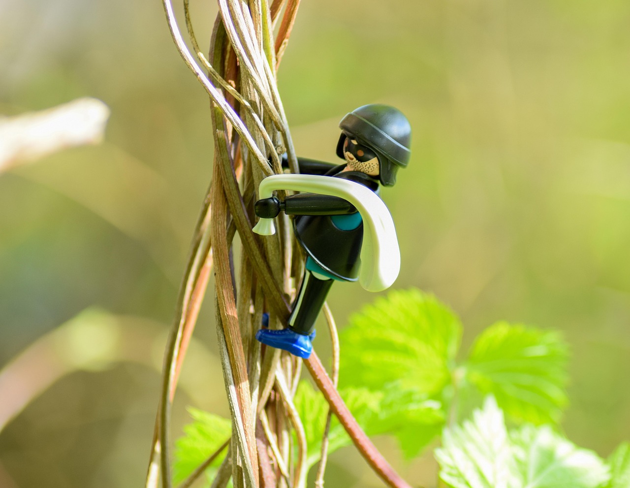 文一学府最新资讯概览，最新动态一网打尽