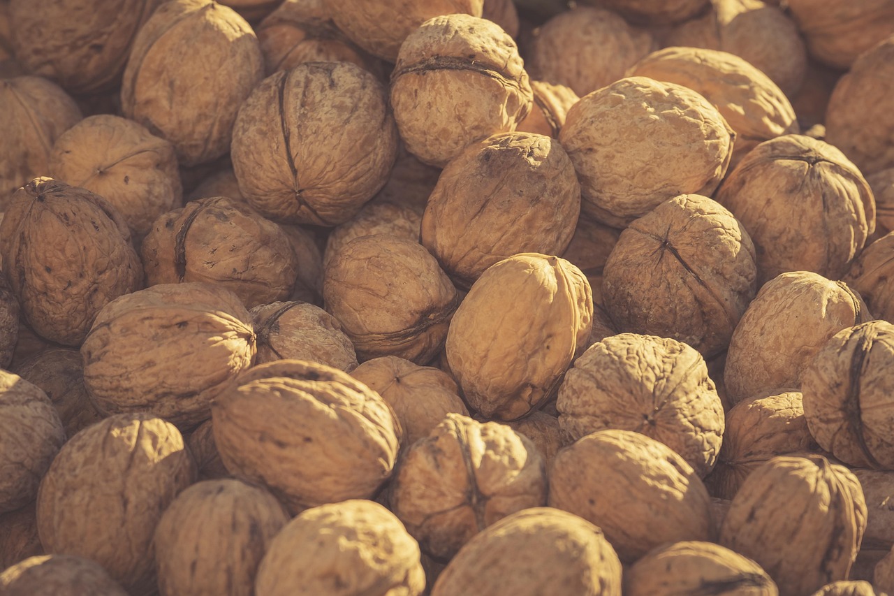 天津港途乐4.0最新价格概览与动态分析