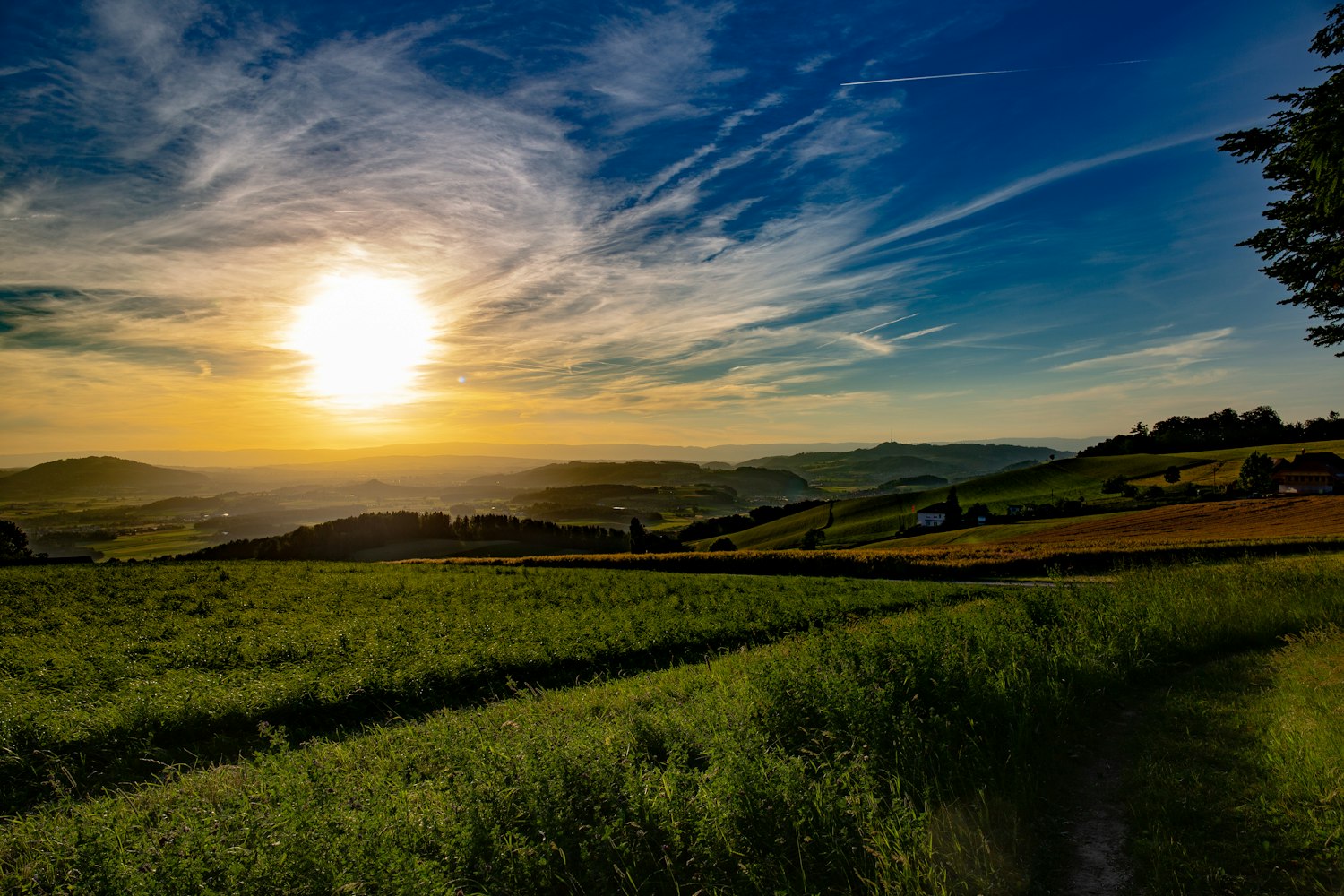 李立宏最新动态，持续创新，探索不止的步伐