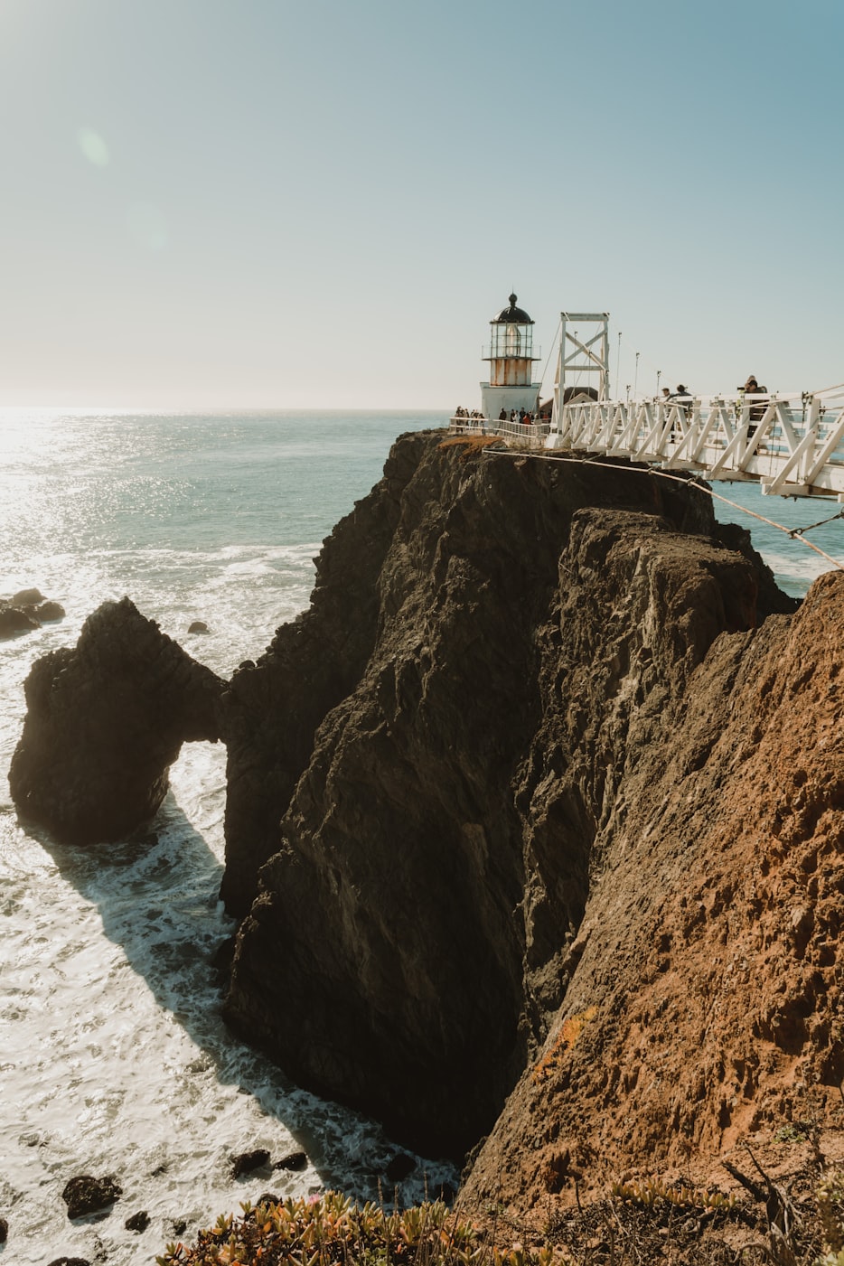 老虎淘客资讯，探索最新动态与深度洞察
