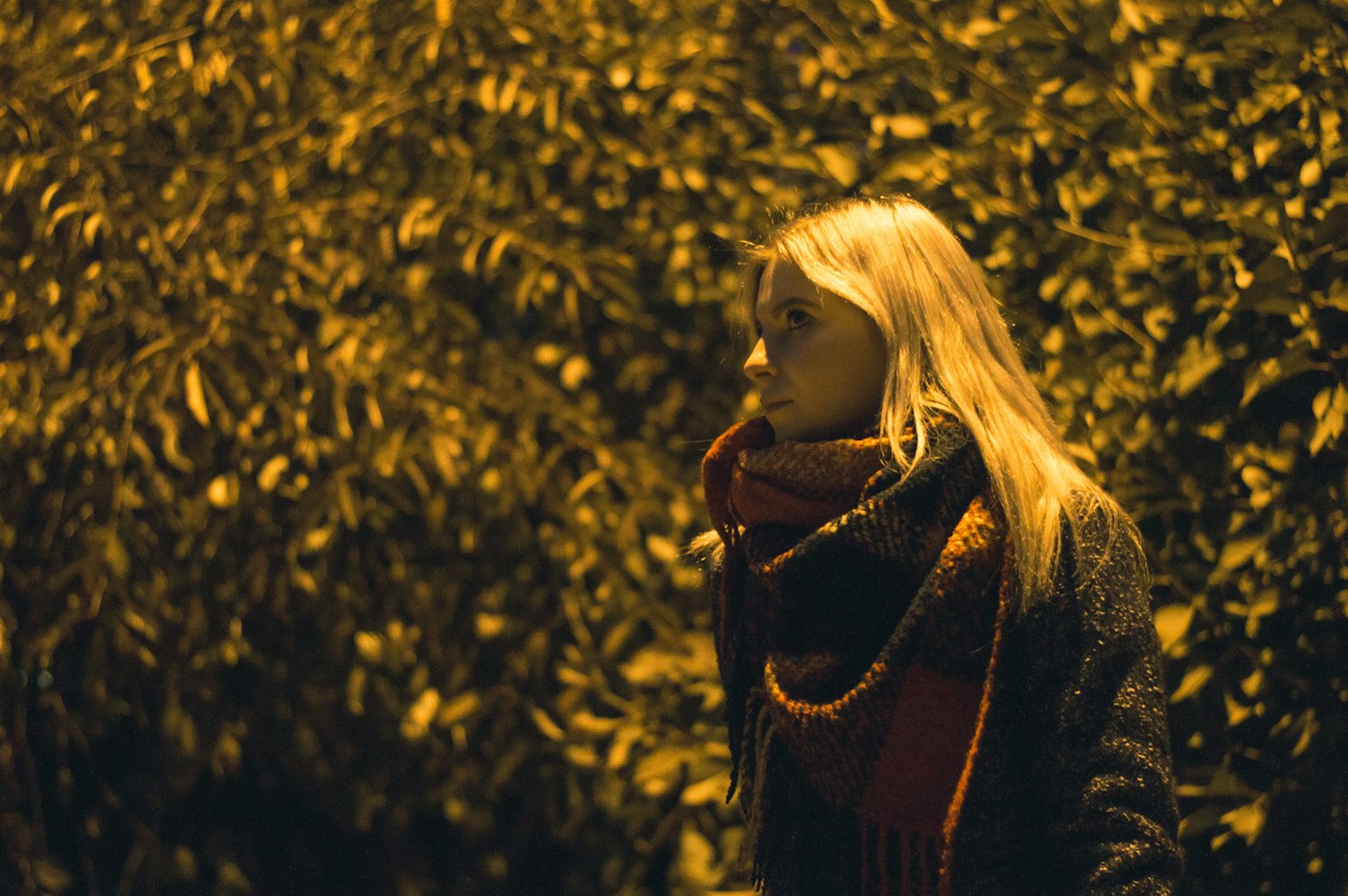 动漫闺蜜头像，连接友情与梦想的纽带时光印记