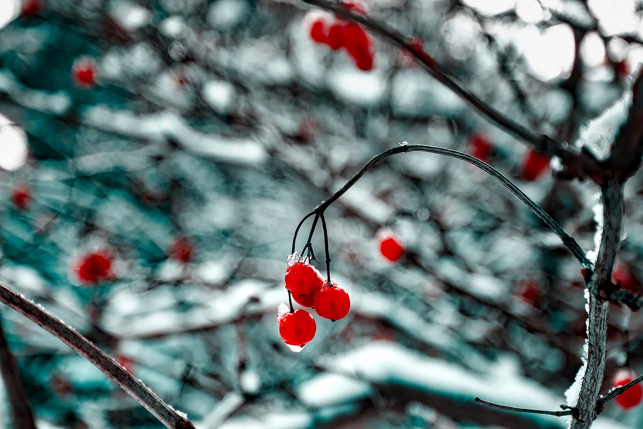 李伟杰案件最新进展深度报道