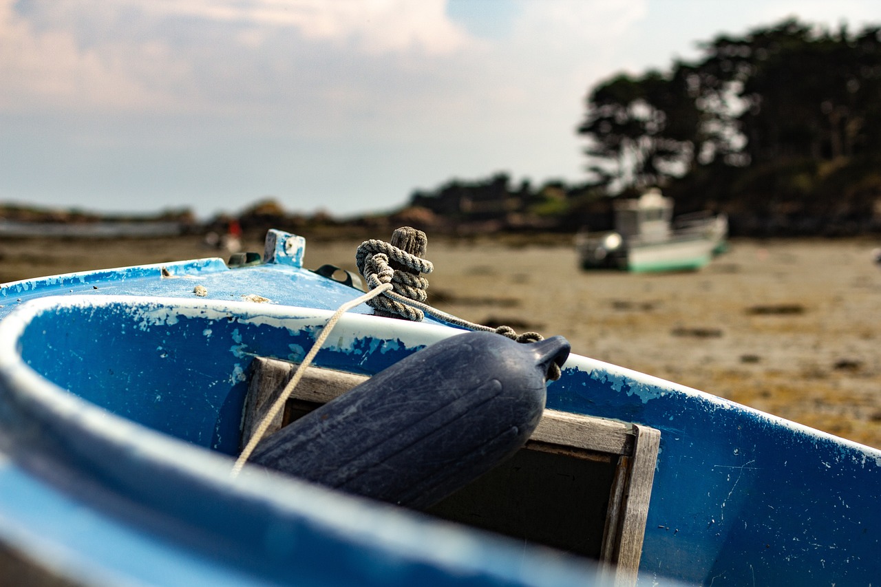 南郑疫情最新动态,全面防控,守护家园安宁