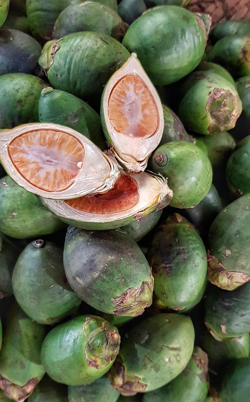 最新槟榔款型，时尚与健康的新结合探索