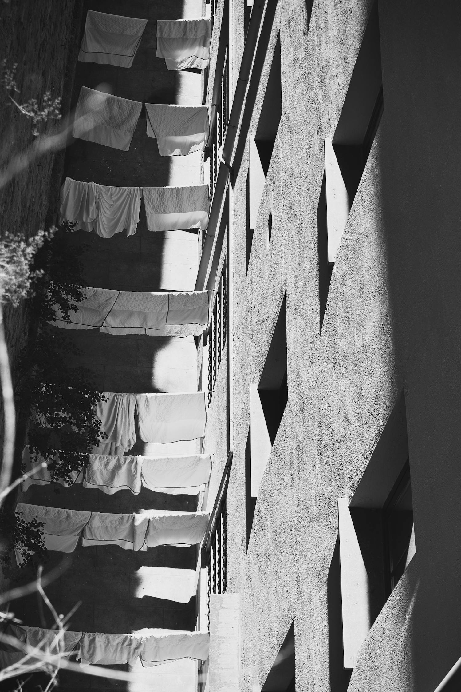 探寻法国电影艺术的独特魅力，啄木鸟与法国电影之旅