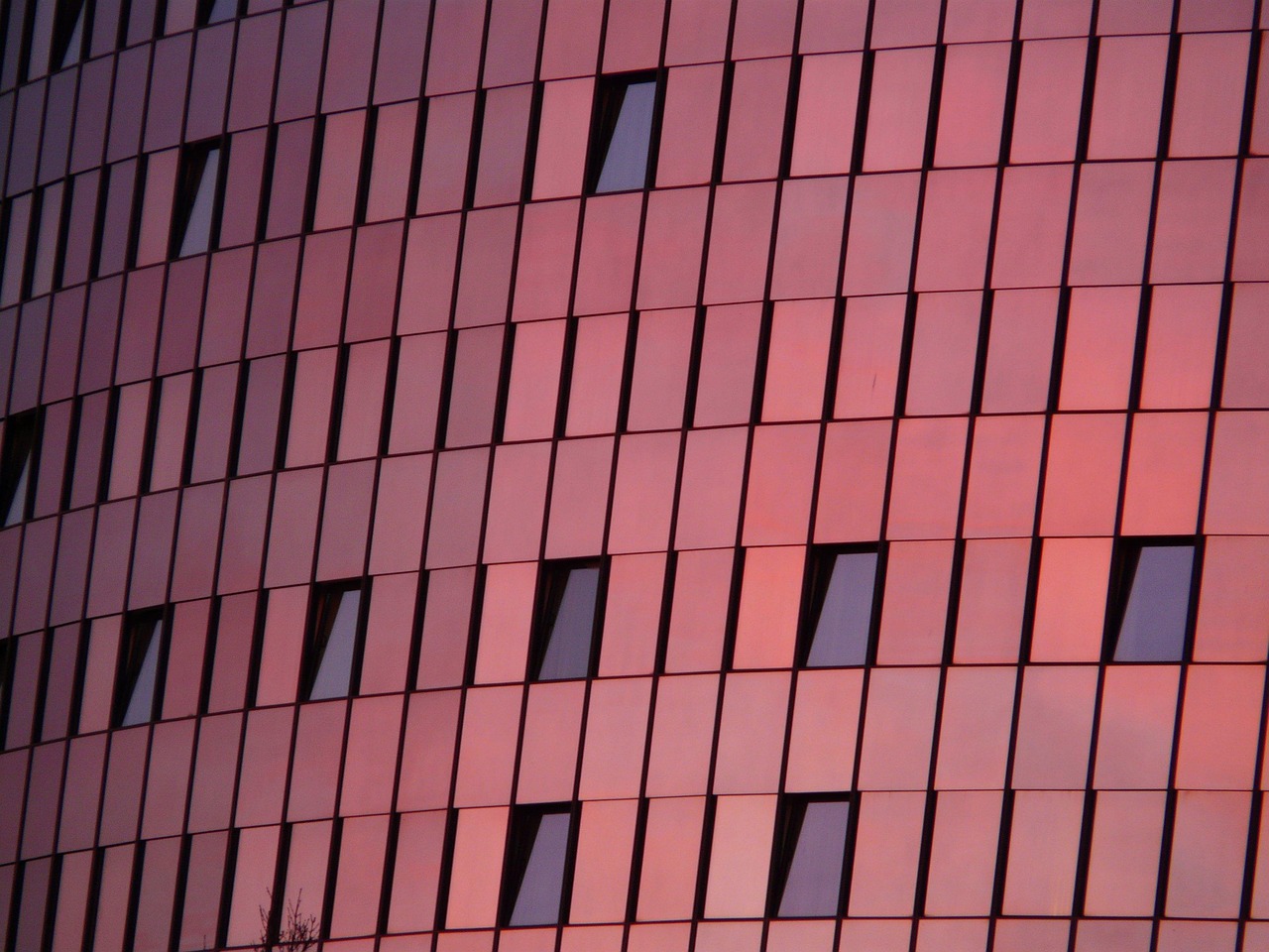 浙大网新股票最新动态，市场走势、行业趋势与公司展望分析