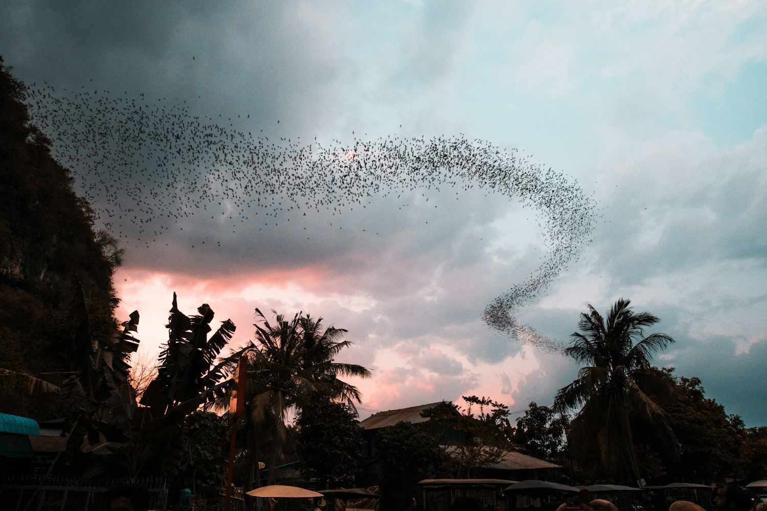 最新飞行手游，探索天际的无限魅力之旅