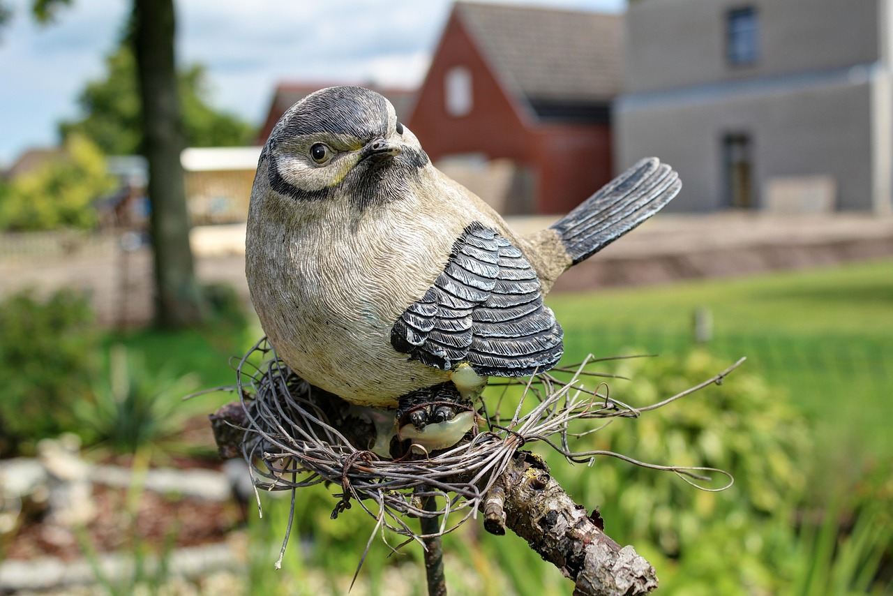 张佑荣朴世荣最新动态揭秘,明星发展新进展独家报道!
