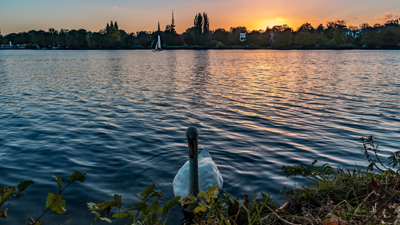 济宁太白湖新区最新动态，城市新名片蓬勃发展