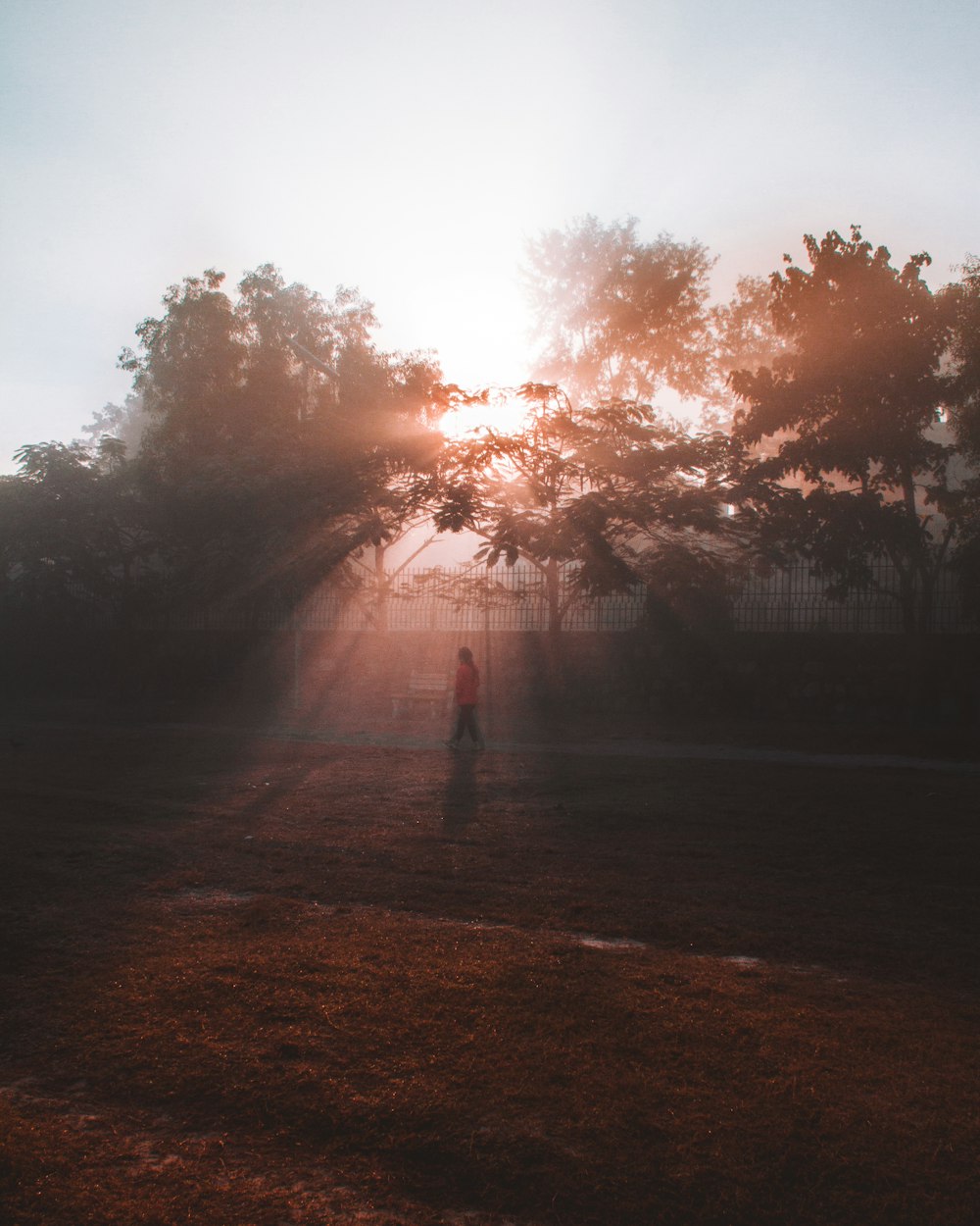 最新早晨问候视频，唤醒活力与希望的一天开始