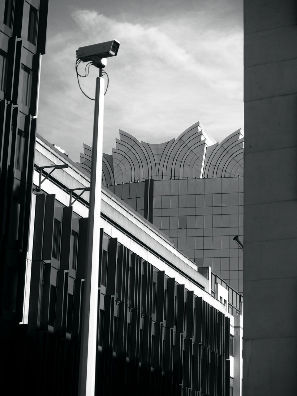 宜宾地震动态，持续监测与救援进展更新