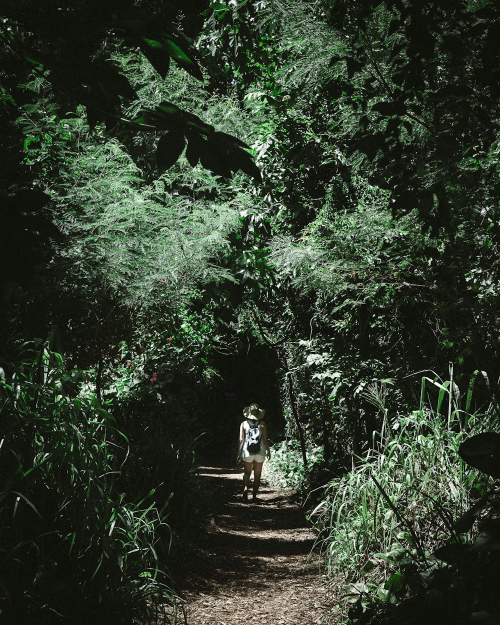 翡翠市场动态，繁荣背后的趋势与挑战探究