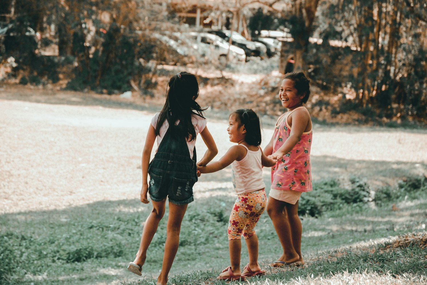 典心最新小说甜蜜角逐，角逐爱情的甜蜜之旅