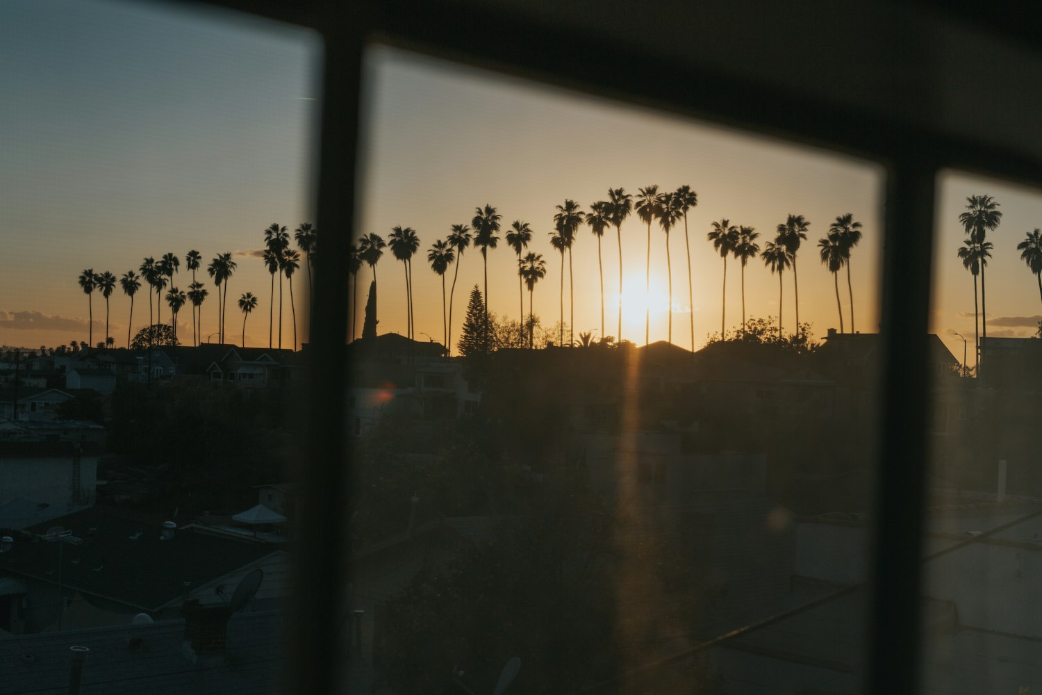 引人入胜的动漫片A探索之旅