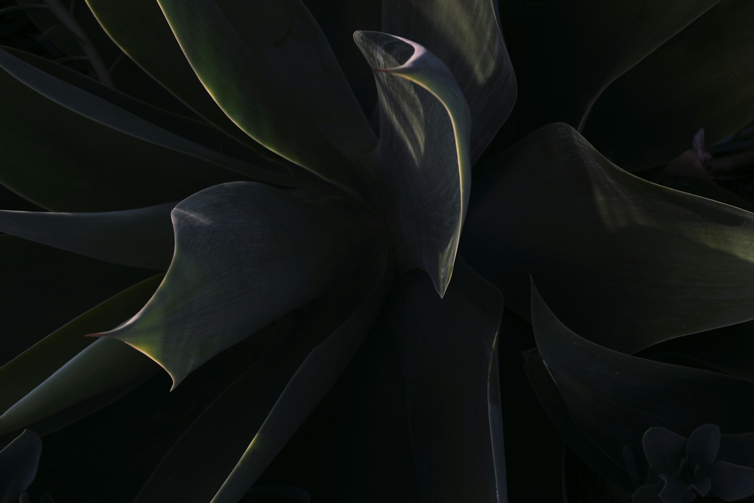 繁星点点 第2页