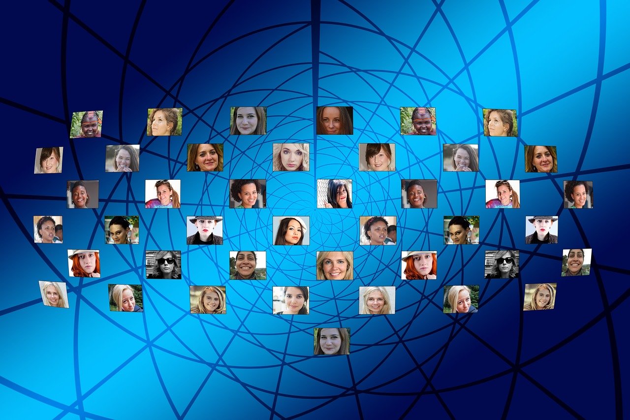 最新半岛新闻深度解析报道