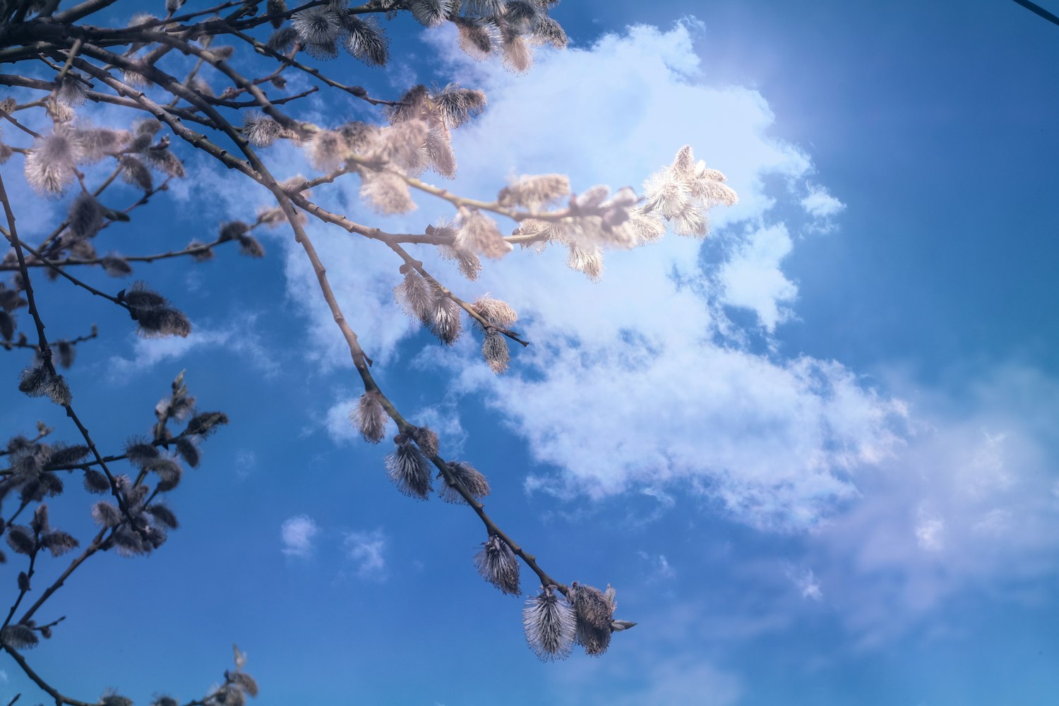 春风新步，自然与人文的和谐共生探索