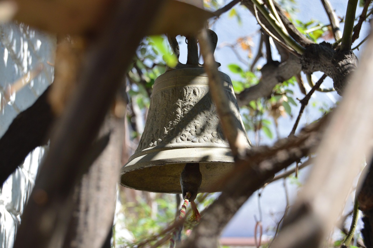 临沂河东最新职位招聘动态与就业市场分析，洞悉河东招聘趋势及就业前景